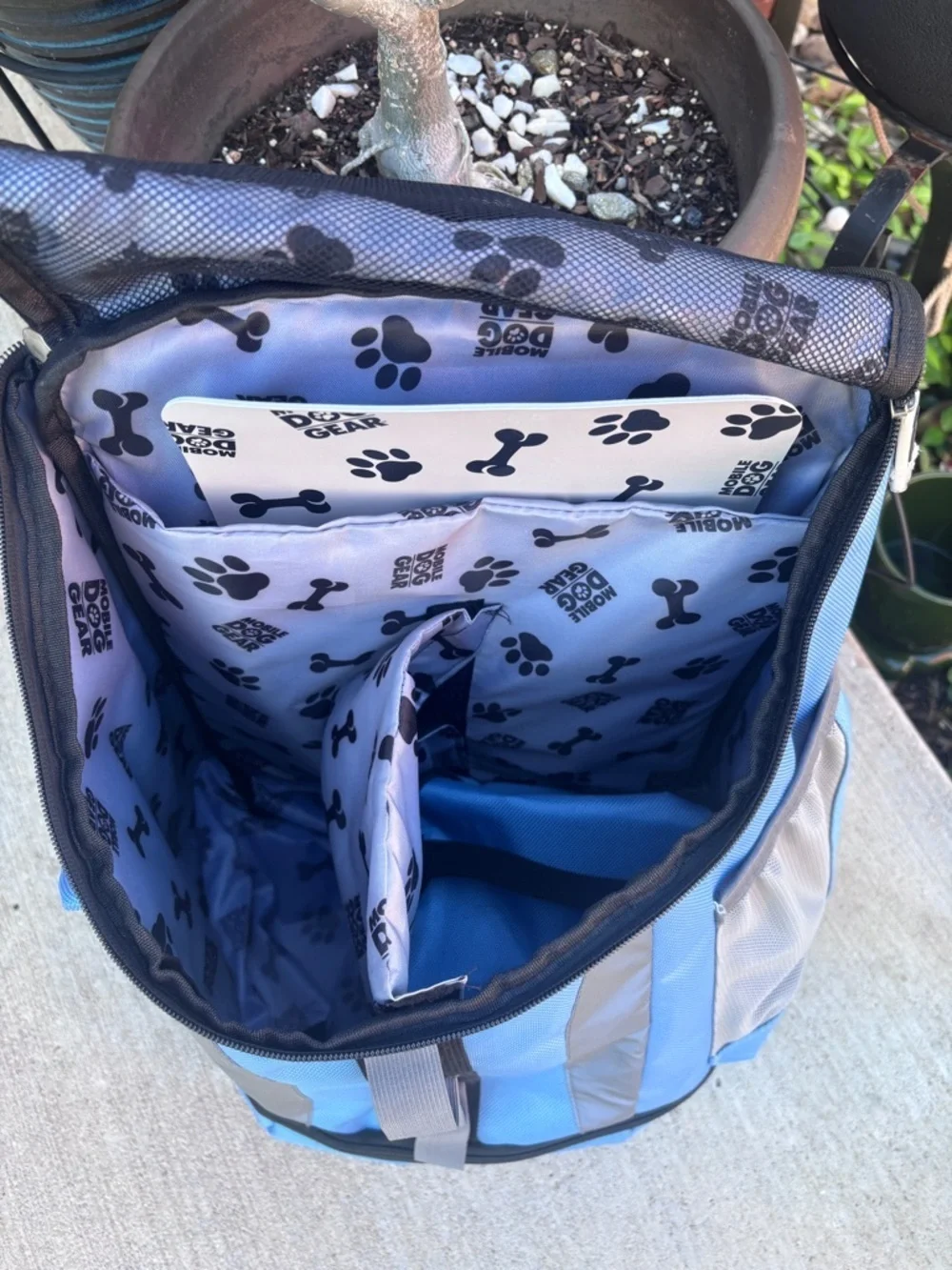 Dog gear this pet